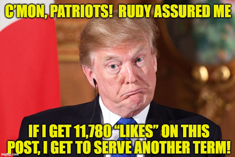 How Trump gets his Second Term | C’MON, PATRIOTS!  RUDY ASSURED ME; IF I GET 11,780 “LIKES” ON THIS POST, I GET TO SERVE ANOTHER TERM! | image tagged in donald trump memes,deplorable donald,donald trump approves,election 2020,donald trump you're fired | made w/ Imgflip meme maker