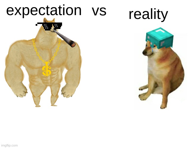 expectation vs reality | reality; expectation; vs | image tagged in memes,buff doge vs cheems | made w/ Imgflip meme maker