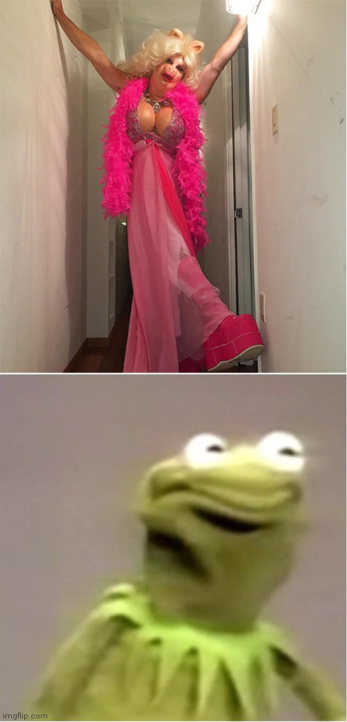 NOT WHAT KERMIT WANTED TO SEE | image tagged in kirmit triggerd,kermit the frog,cosplay,cosplay fail,miss piggy | made w/ Imgflip meme maker