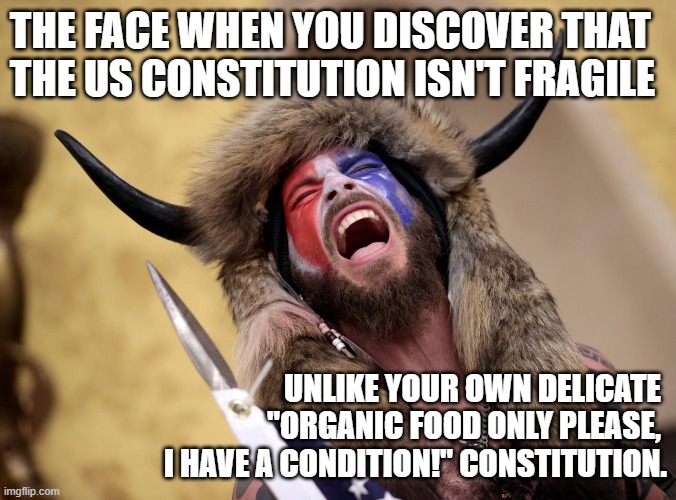 Delicate constitution | THE FACE WHEN YOU DISCOVER THAT 
THE US CONSTITUTION ISN'T FRAGILE; UNLIKE YOUR OWN DELICATE 
"ORGANIC FOOD ONLY PLEASE, 
I HAVE A CONDITION!" CONSTITUTION. | image tagged in delicate,constitution,sedition,idiot,trumpster | made w/ Imgflip meme maker