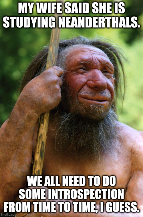 All Neanderthals on the Inside | MY WIFE SAID SHE IS STUDYING NEANDERTHALS. WE ALL NEED TO DO SOME INTROSPECTION FROM TIME TO TIME, I GUESS. | image tagged in neanderthal,psychology,wife,studying | made w/ Imgflip meme maker