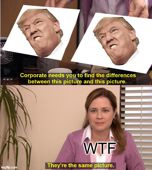They're The Same Picture | WTF | image tagged in memes,they're the same picture | made w/ Imgflip meme maker