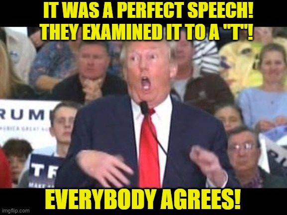 Perfect Speech | IT WAS A PERFECT SPEECH!  THEY EXAMINED IT TO A "T"! EVERYBODY AGREES! | image tagged in donald trump approves,liberal media,riot on the capitol,presidential alert,nevertrump meme | made w/ Imgflip meme maker