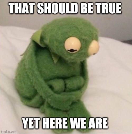 existential kermit | THAT SHOULD BE TRUE; YET HERE WE ARE | image tagged in sad kermit,existentialism | made w/ Imgflip meme maker
