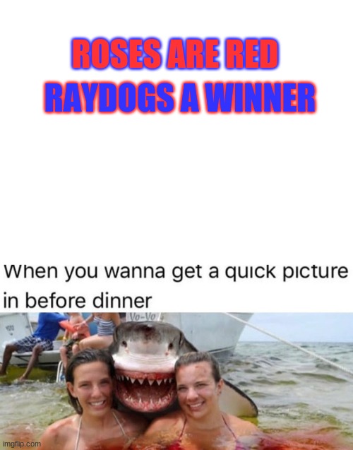 Yikes | ROSES ARE RED; RAYDOGS A WINNER | image tagged in roses are red,umm,shark,dinner | made w/ Imgflip meme maker
