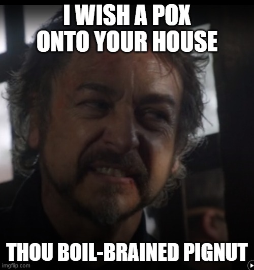 I WISH A POX ONTO YOUR HOUSE; THOU BOIL-BRAINED PIGNUT | image tagged in shakespearen insults,witch,salem | made w/ Imgflip meme maker