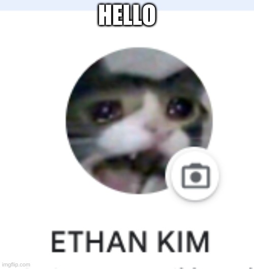 E | HELLO | image tagged in e | made w/ Imgflip meme maker