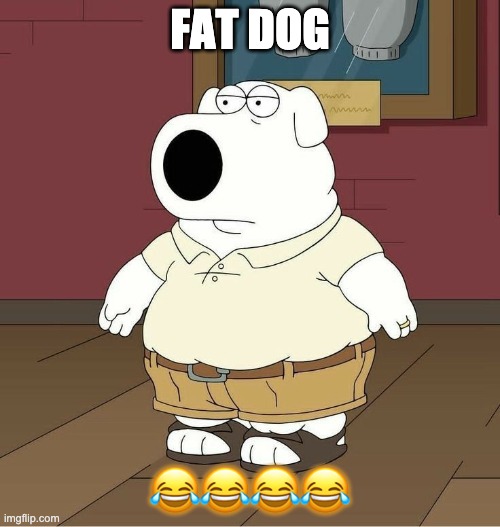 fat dog | FAT DOG; 😂😂😂😂 | image tagged in fat dog | made w/ Imgflip meme maker