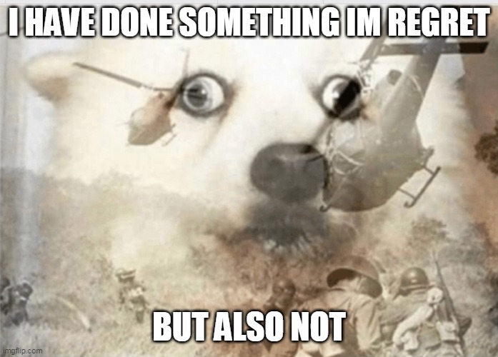 nah not telling- | I HAVE DONE SOMETHING IM REGRET; BUT ALSO NOT | image tagged in ptsd dog | made w/ Imgflip meme maker