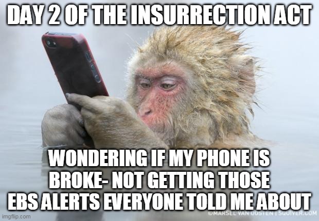 Feeling left out | DAY 2 OF THE INSURRECTION ACT; WONDERING IF MY PHONE IS BROKE- NOT GETTING THOSE EBS ALERTS EVERYONE TOLD ME ABOUT | image tagged in monkey mobile phone | made w/ Imgflip meme maker
