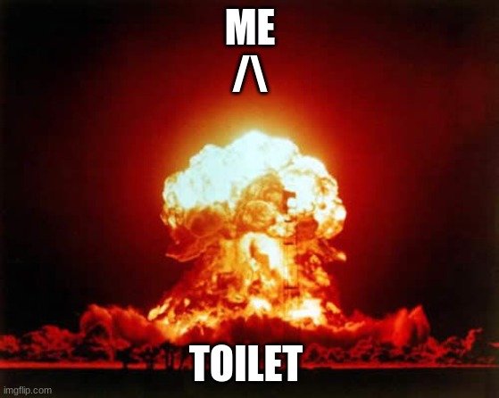 Nuclear Explosion | ME
/\; TOILET | image tagged in memes,nuclear explosion | made w/ Imgflip meme maker