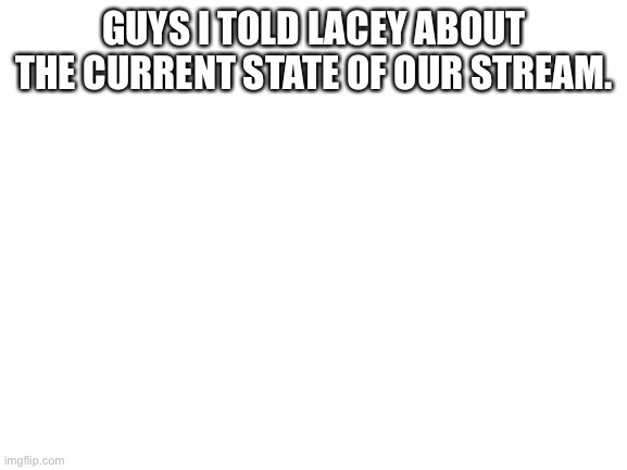 Blank White Template | GUYS I TOLD LACEY ABOUT THE CURRENT STATE OF OUR STREAM. | image tagged in blank white template | made w/ Imgflip meme maker