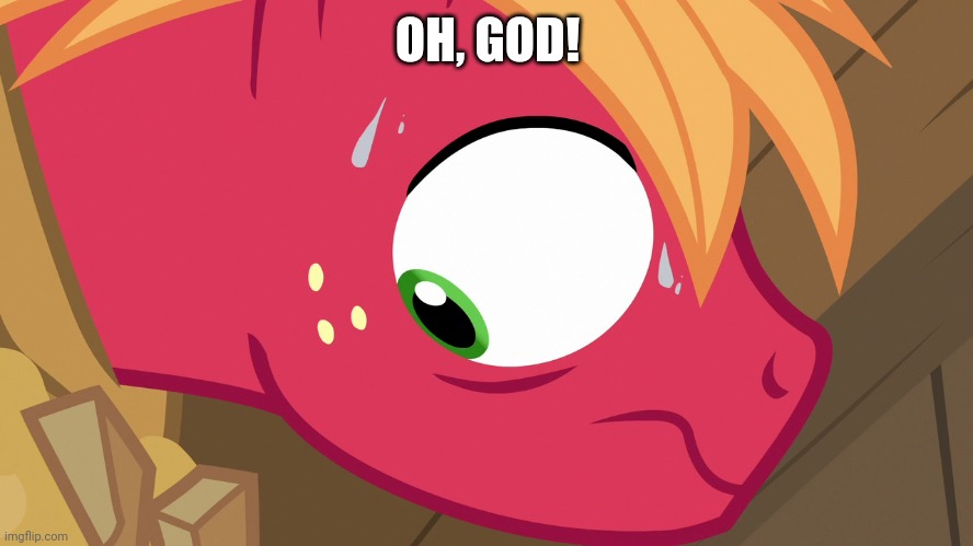 Feared Big Macintosh (MLP) | OH, GOD! | image tagged in feared big macintosh mlp | made w/ Imgflip meme maker