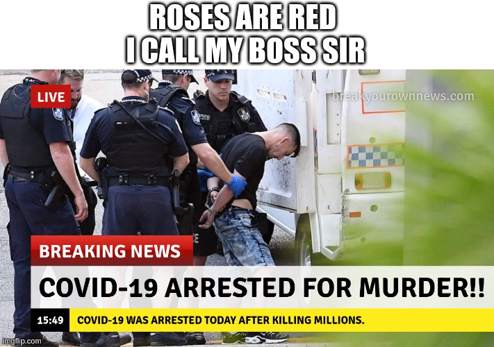 meme | ROSES ARE RED 
I CALL MY BOSS SIR | image tagged in funny memes,breaking news | made w/ Imgflip meme maker