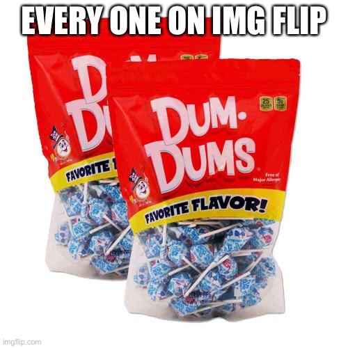 EVERY ONE ON IMG FLIP | image tagged in dumb | made w/ Imgflip meme maker