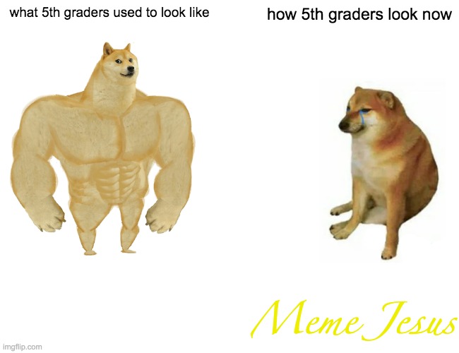 What 5th graders used to look likre | what 5th graders used to look like; how 5th graders look now; Meme Jesus | image tagged in memes,buff doge vs cheems | made w/ Imgflip meme maker