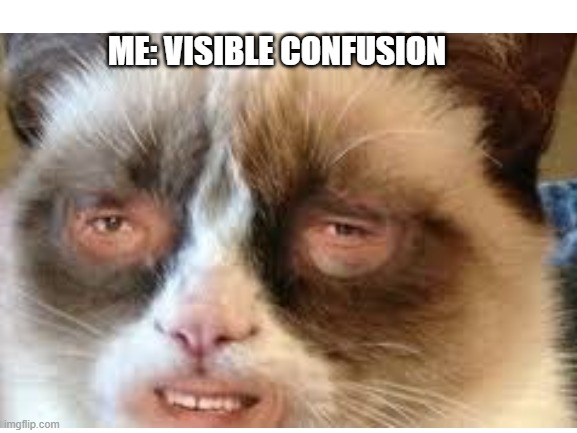 ME: VISIBLE CONFUSION | made w/ Imgflip meme maker