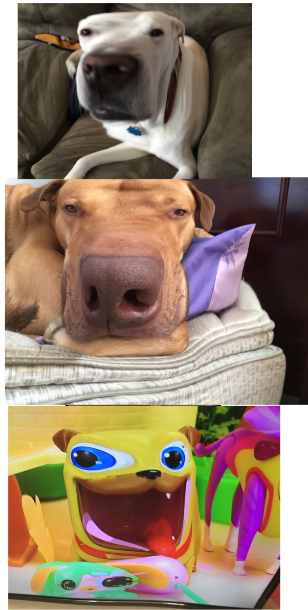 The Three Dogs Blank Meme Template