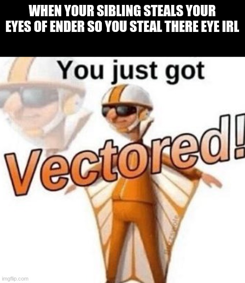 You just got vectored | WHEN YOUR SIBLING STEALS YOUR EYES OF ENDER SO YOU STEAL THERE EYE IRL | image tagged in you just got vectored | made w/ Imgflip meme maker