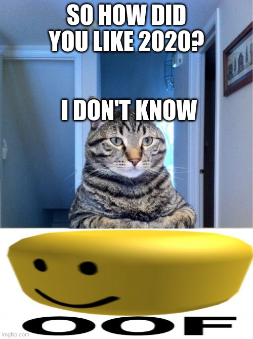 Take A Seat Cat | SO HOW DID YOU LIKE 2020? I DON'T KNOW | image tagged in memes,take a seat cat | made w/ Imgflip meme maker