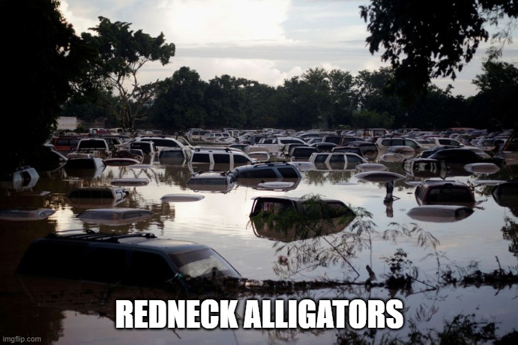 Redneck Alligators | REDNECK ALLIGATORS | image tagged in truck,water,alligator,funny memes,redneck | made w/ Imgflip meme maker