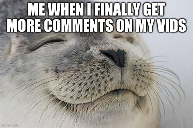 Satisfied Seal Meme | ME WHEN I FINALLY GET MORE COMMENTS ON MY VIDS | image tagged in memes,satisfied seal | made w/ Imgflip meme maker
