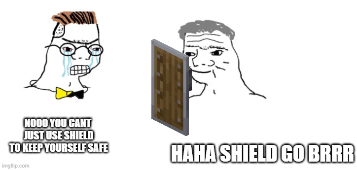 nooo haha go brrr | NOOO YOU CANT 
JUST USE SHIELD TO KEEP YOURSELF SAFE; HAHA SHIELD GO BRRR | image tagged in nooo haha go brrr | made w/ Imgflip meme maker