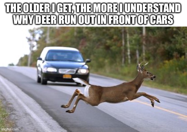 I get it now.  Go into the light. | THE OLDER I GET, THE MORE I UNDERSTAND
WHY DEER RUN OUT IN FRONT OF CARS | image tagged in deer,car,crash,suicide,2021,dark humor | made w/ Imgflip meme maker