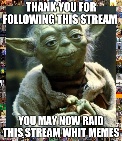 RAID | THANK YOU FOR FOLLOWING THIS STREAM; YOU MAY NOW RAID THIS STREAM WHIT MEMES | image tagged in memes,star wars yoda | made w/ Imgflip meme maker