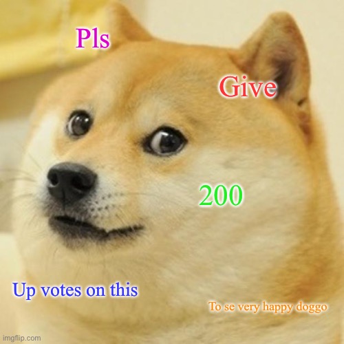 Doge | Pls; Give; 200; Up votes on this; To se very happy doggo | image tagged in memes,doge | made w/ Imgflip meme maker
