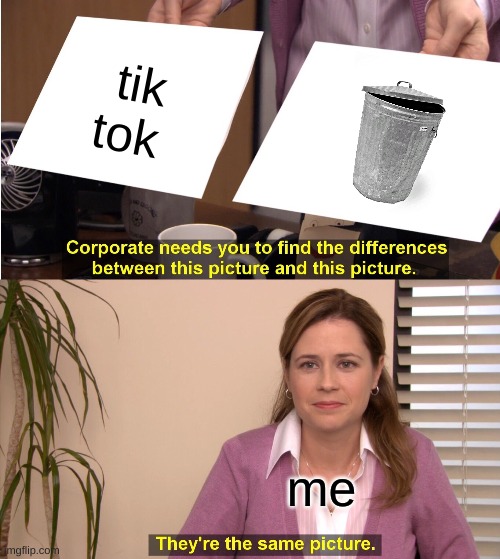 tik tok literal garbage skskskskss | tik tok; me | image tagged in memes,they're the same picture | made w/ Imgflip meme maker