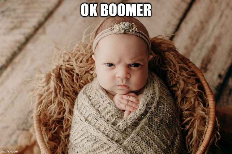 Okay Boomer | OK BOOMER | image tagged in okay boomer | made w/ Imgflip meme maker