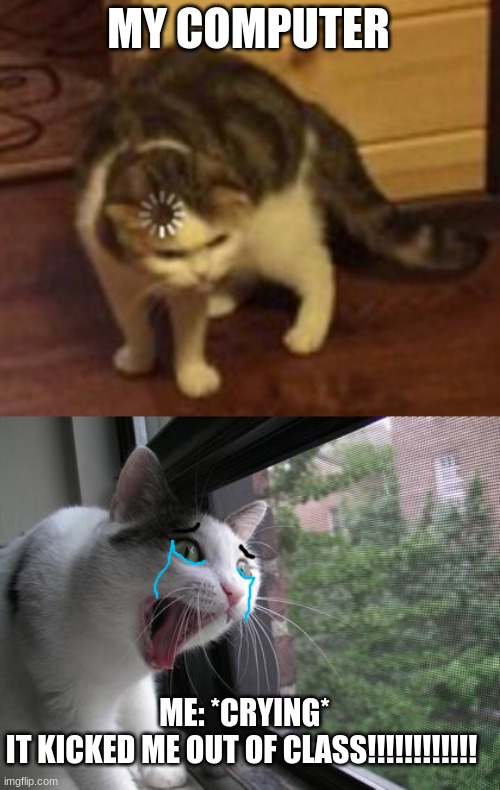 *Crying* my school day was awful... :( | MY COMPUTER; ME: *CRYING*
IT KICKED ME OUT OF CLASS!!!!!!!!!!!! | image tagged in loading cat,screaming cat | made w/ Imgflip meme maker