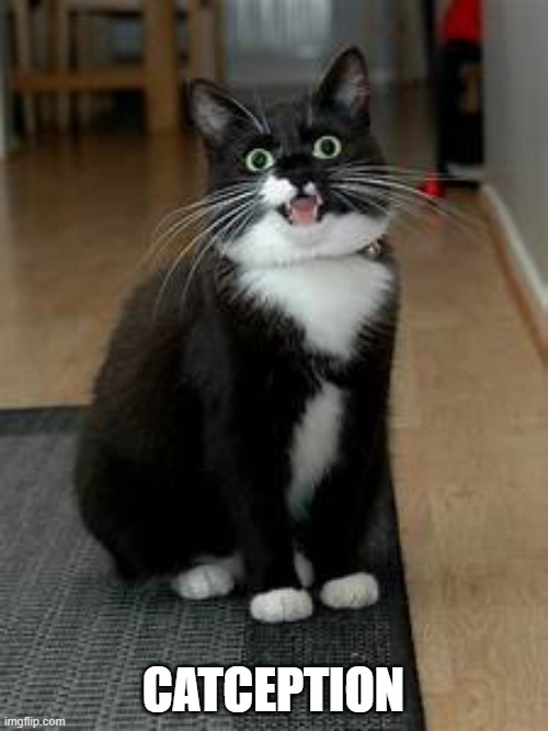 Super Stoner Cat | CATCEPTION | image tagged in super stoner cat | made w/ Imgflip meme maker