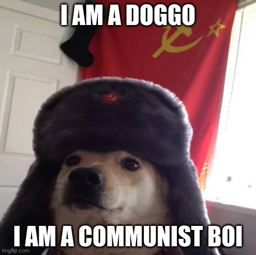 comunist ppoch | I AM A DOGGO; I AM A COMMUNIST BOI | image tagged in comunist ppoch | made w/ Imgflip meme maker