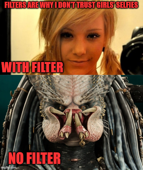 Filters are Lies | FILTERS ARE WHY I DON'T TRUST GIRLS' SELFIES; WITH FILTER; NO FILTER | image tagged in selfie,image filters | made w/ Imgflip meme maker