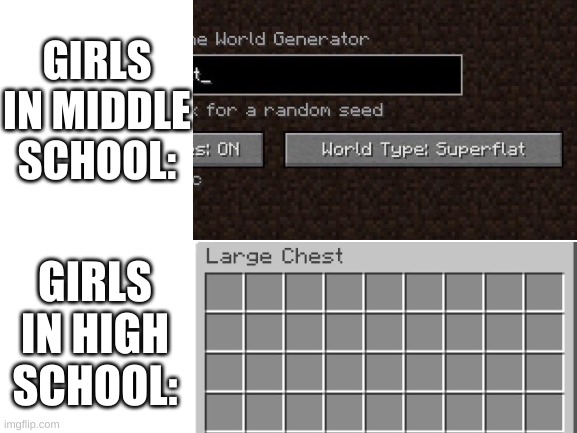 why did i make this- | GIRLS IN MIDDLE SCHOOL:; GIRLS IN HIGH SCHOOL: | image tagged in memes,funny,minecraft,girls,no god no god please no | made w/ Imgflip meme maker