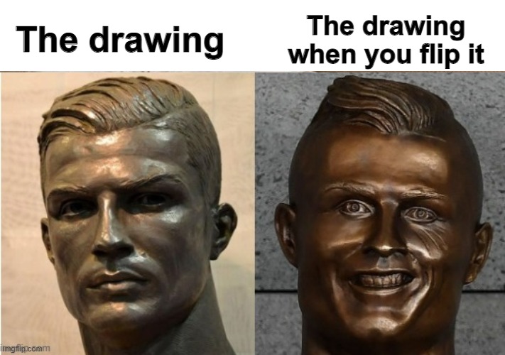 I hope I'm not the only one who relates to this | The drawing when you flip it; The drawing | image tagged in memes | made w/ Imgflip meme maker
