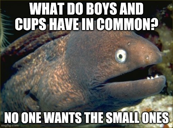 Bad Joke Eel Meme | WHAT DO BOYS AND CUPS HAVE IN COMMON? NO ONE WANTS THE SMALL ONES | image tagged in memes,bad joke eel | made w/ Imgflip meme maker