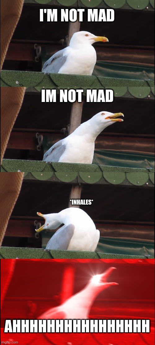 I'm not mad | I'M NOT MAD; IM NOT MAD; *INHALES*; AHHHHHHHHHHHHHHHH | image tagged in memes,inhaling seagull | made w/ Imgflip meme maker