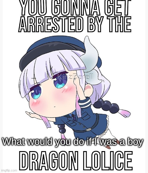 You gonna get arrested by the Dragon Lolice | What would you do if I was a boy | image tagged in you gonna get arrested by the dragon lolice | made w/ Imgflip meme maker