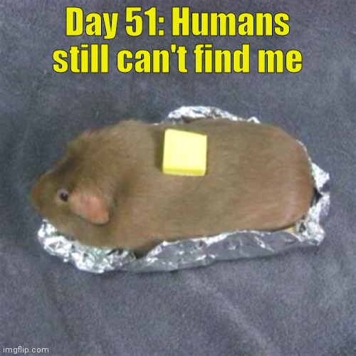 It was just supposed to be a game of hide and seek- | Day 51: Humans still can't find me | image tagged in baked furry potato | made w/ Imgflip meme maker
