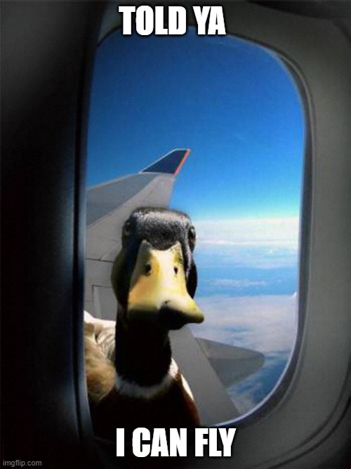 Airplane Duck | TOLD YA; I CAN FLY | image tagged in airplane duck | made w/ Imgflip meme maker