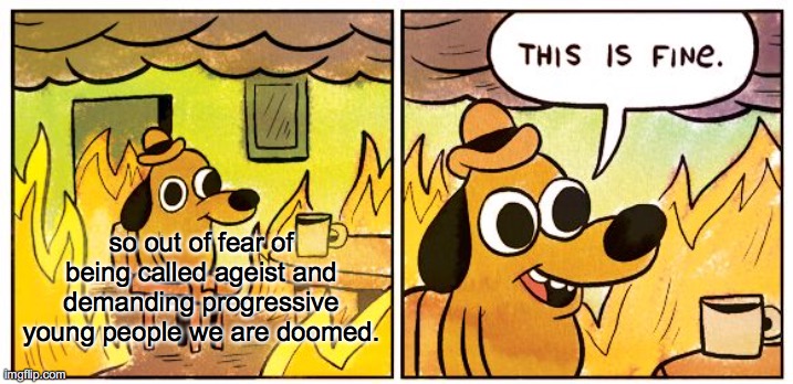 This Is Fine Meme | so out of fear of being called ageist and demanding progressive young people we are doomed. | image tagged in memes,this is fine | made w/ Imgflip meme maker