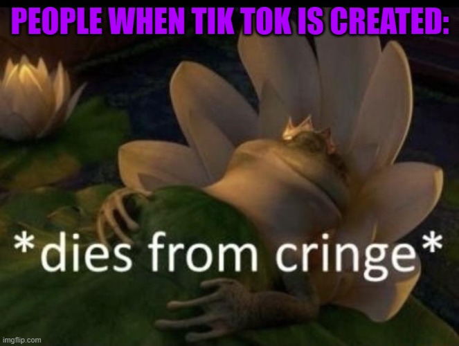 Dies from cringe | PEOPLE WHEN TIK TOK IS CREATED: | image tagged in dies from cringe | made w/ Imgflip meme maker