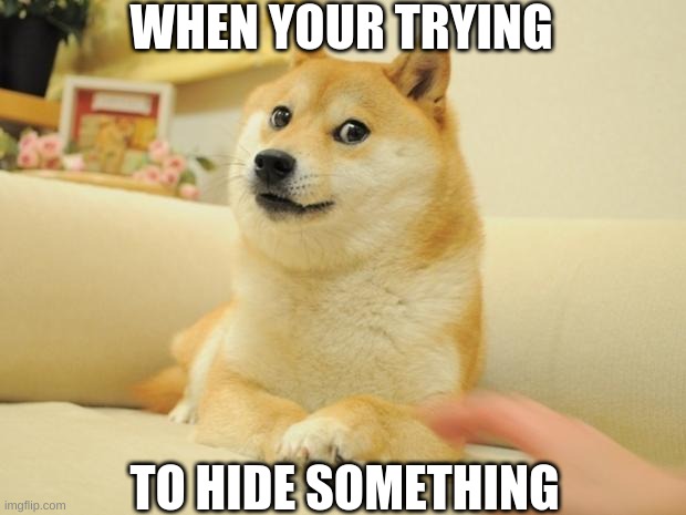 Doge 2 | WHEN YOUR TRYING; TO HIDE SOMETHING | image tagged in memes,doge 2 | made w/ Imgflip meme maker