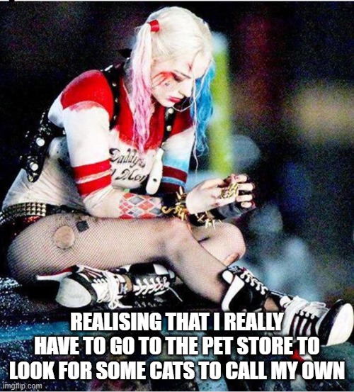 Accepting the cat life | REALISING THAT I REALLY HAVE TO GO TO THE PET STORE TO LOOK FOR SOME CATS TO CALL MY OWN | image tagged in harley quinn | made w/ Imgflip meme maker
