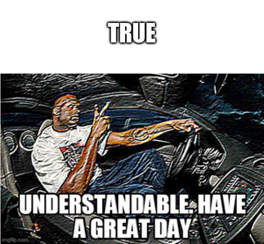 UNDERSTANDABLE, HAVE A GREAT DAY | TRUE | image tagged in understandable have a great day | made w/ Imgflip meme maker