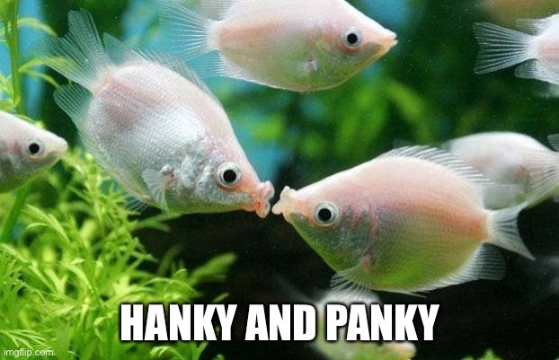 HANKY AND PANKY | made w/ Imgflip meme maker