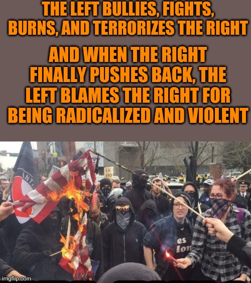 Antifa Democrat Leftist Terrorist | THE LEFT BULLIES, FIGHTS, BURNS, AND TERRORIZES THE RIGHT; AND WHEN THE RIGHT FINALLY PUSHES BACK, THE LEFT BLAMES THE RIGHT FOR BEING RADICALIZED AND VIOLENT | image tagged in antifa democrat leftist terrorist | made w/ Imgflip meme maker